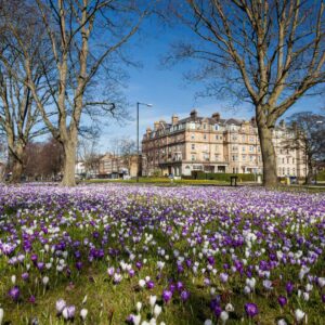 Harrogate Spring time